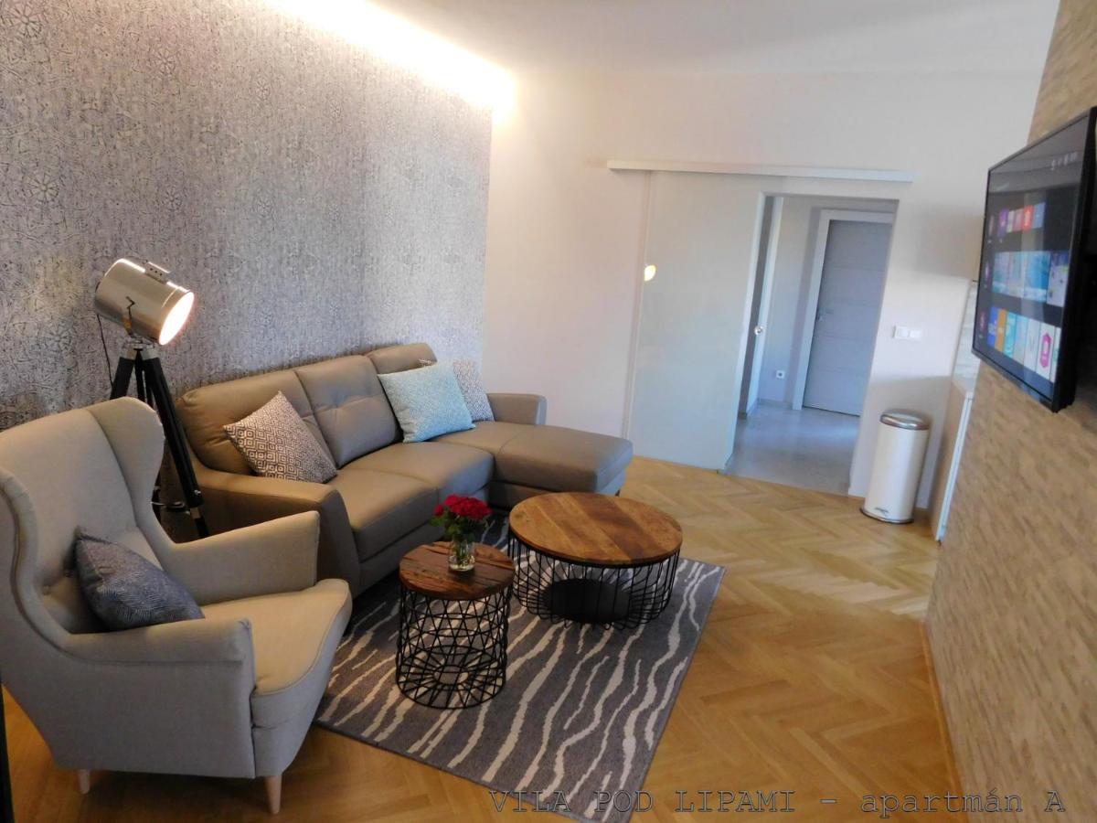 Apartamento Vila Pod Lipami Bruntál Exterior foto